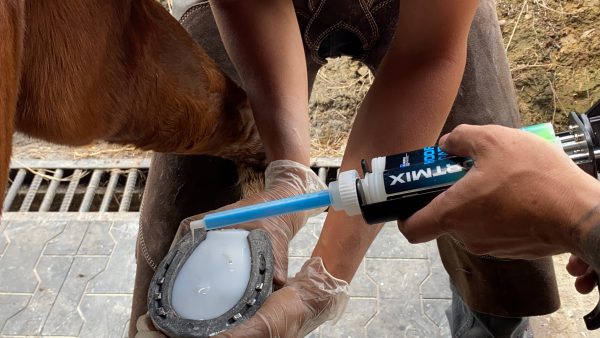 Comfortmix Hoof Pad ZnO 200 cc (Óxido de Zinc) - Imagen 3